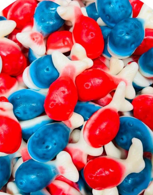 Jelly Whales